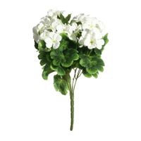 Geranium Bush - Dia40 x H15cm - 9 Stems - Cream