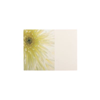 Small Card - Blank Card  - Cream Flower - Pk 50