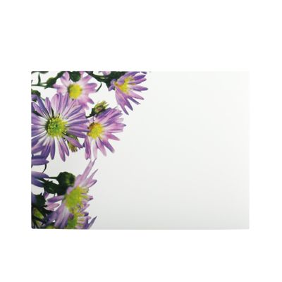 Large Card - Aster Flower - Blank - Pk6