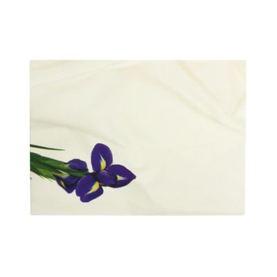 Large Card - Purple Iris - Blank - Pk6
