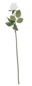 Essential - Arundel Rose Bud - White