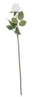 Essential - Arundel Rose Bud - White
