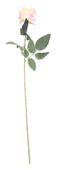 Essential - Arundel Rose - Ivory