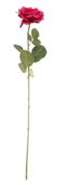 Essential - Arundel Open Rose - Fuchsia