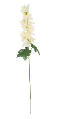Essential - Arundel Garden Delphinium Cream