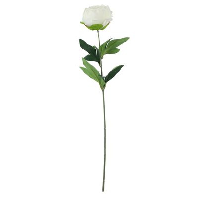 Essential - Arundel Garden Peony - Ivory