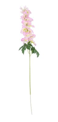 Essential - Arundel Garden Delphinium Cream Pink