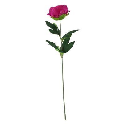 Essential - Arundel Garden Peony - Cerise