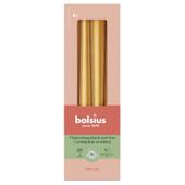 Bolsius Essentials Tapered Candles-245 x 24mm-Special-Box 4-Metallic Gold Orange