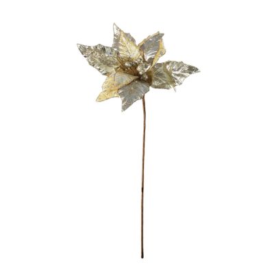 Poinsettia Head - Champagne - 53cm