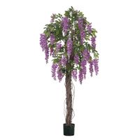 Wisteria Tree  Potted - Purple - 4Ft
