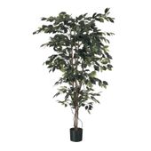 Ficus Tree Potted - 720 Lvs - Green - 4Ft