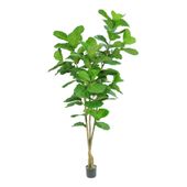 Fiddle Leaf Tree  Potted -  93 Lvs - Green - 6Ft