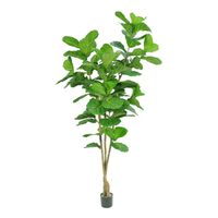Fiddle Leaf Tree  Potted -  93 Lvs - Green - 6Ft
