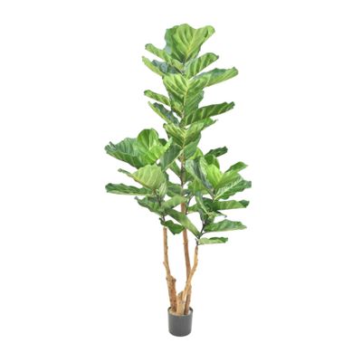  Deluxe Fiddle Leaf Tree  Potted - 50 Lvs - Green - 6Ft