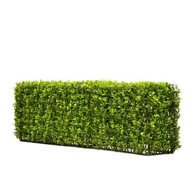 23cm x 100cm Hedge