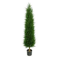 Cupressus Tower Tree Potted  - 828 Lvs - Dark Green 4Ft