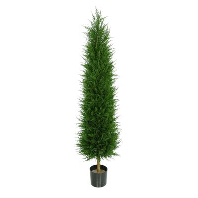 Cupressus Tower Tree Potted  - 828 Lvs - Dark Green 4Ft