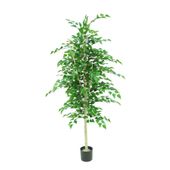 Silver Birch Tree Potted - 1260 Lvs White Skin Trunk - 5Ft