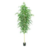 Silver Birch Tree Potted - 3500Lvs - Green - 10Ft