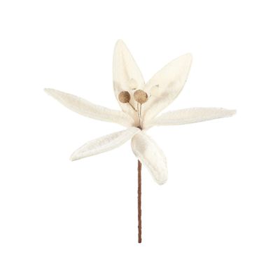 Cosy Furry Poinsettia - Cream - 28cm