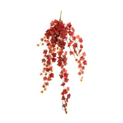 Grape Ivy Hanger - 203 Lvs