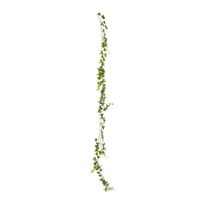 Ivy Garland - Green - 182cm - 144 Mini Lvs