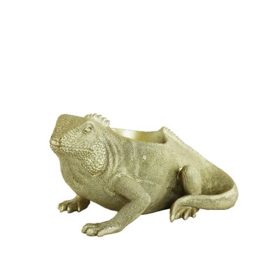 Komodo Pot / Gold
