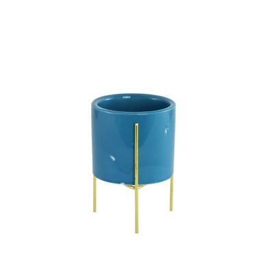 Succulent Stand + Pot Blue 6cm