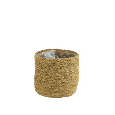Sea Grass with Nylon pot with plastic liner