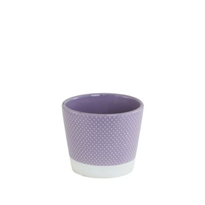 Purple Spotty