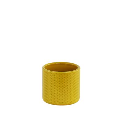 Mustard Yellow Dot 6cm