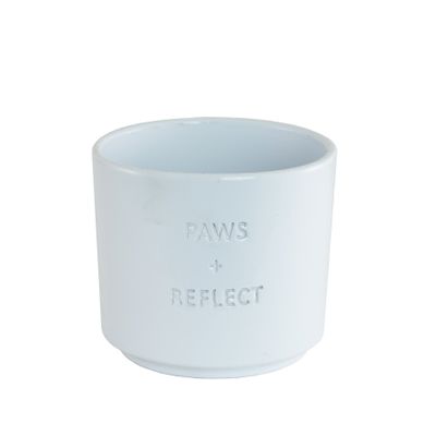 Paws + reflect