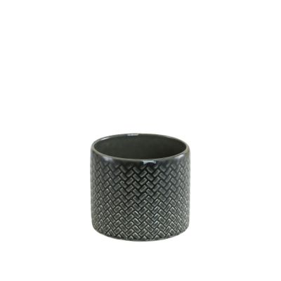 Succulent check black pot 6cm