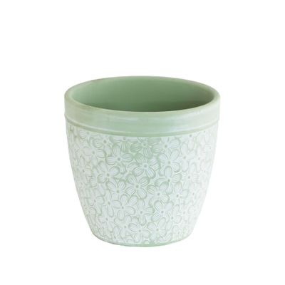 Green pot white flowers 12cm