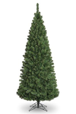 7ft Slim Glacier Fir Pencil 868Tp