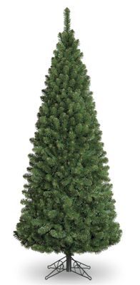 6ft Slim Glacier Fir Pencil 580Tp