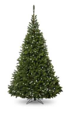 7ft Pre Lit Oregon Tree 500L/1103T