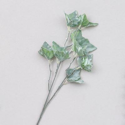 68cm Frosted Ivy Spray