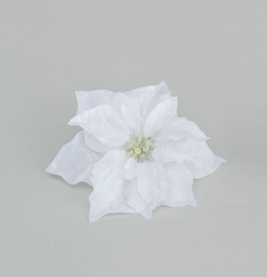 20cm Poinsettia w/Clip Cream