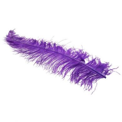 FE4128-Purple