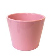 Gloss Pink Verdi Pot