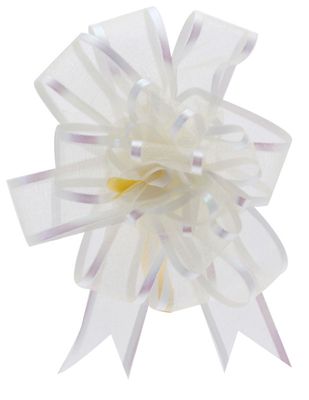 Ivory Organza Pull Bow