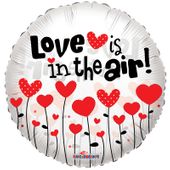 Love is in the air Clear View (18inch)