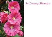 Large ILM Pink Hollyhocks Greeting Card (x25)